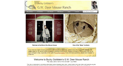 Desktop Screenshot of mouseranch.com